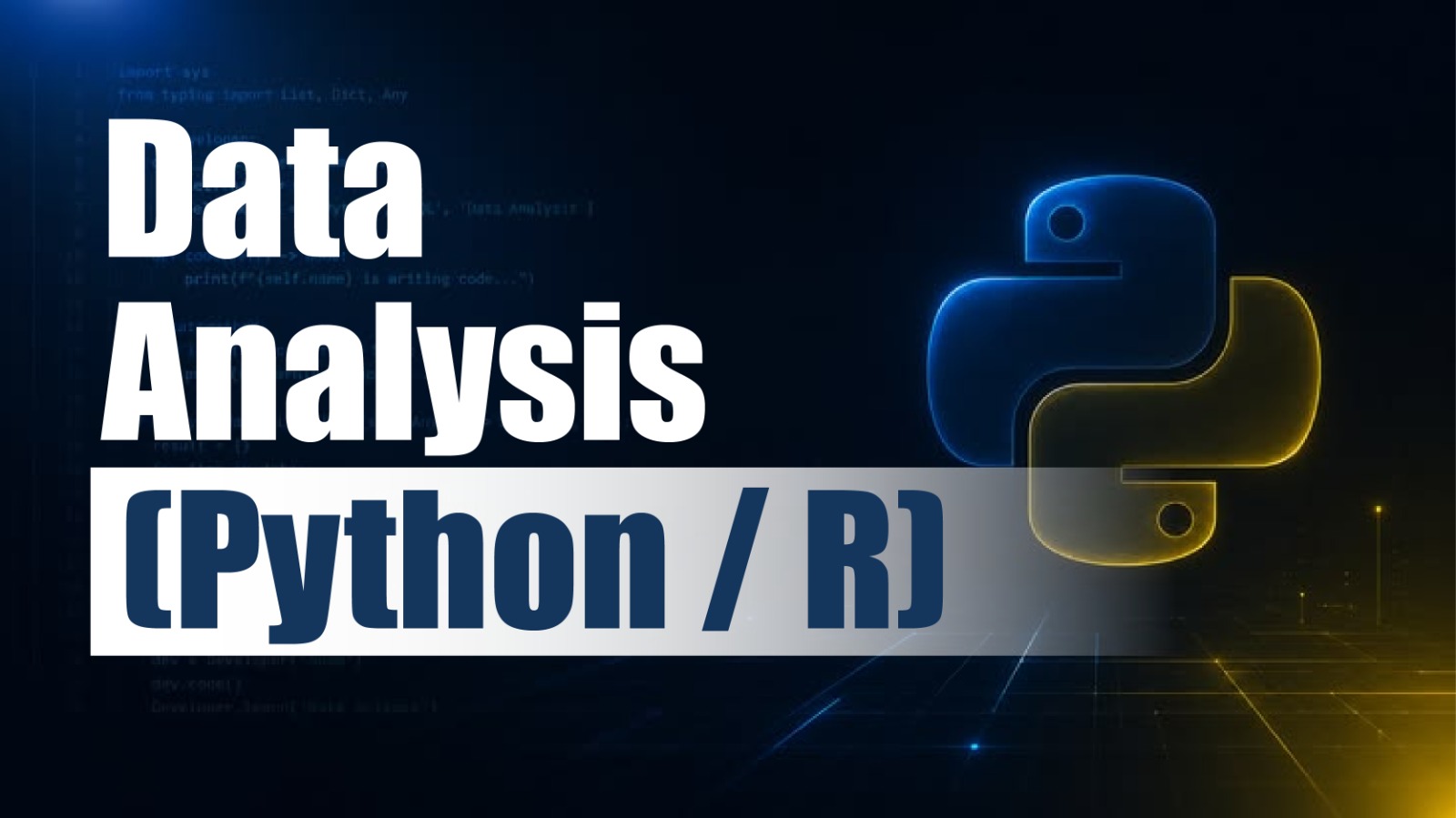 Data Analysis (Python / R)
